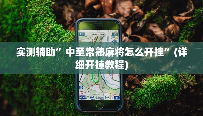实测辅助”中至常熟麻将怎么开挂”(详细开挂教程)