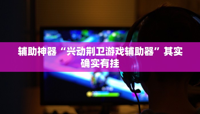 辅助神器“兴动荆卫游戏辅助器”其实确实有挂