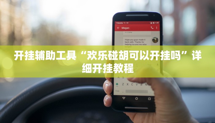 开挂辅助工具“欢乐碰胡可以开挂吗”详细开挂教程