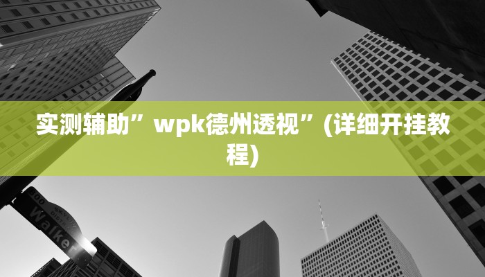 实测辅助”wpk德州透视”(详细开挂教程)
