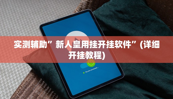 实测辅助”新人皇用挂开挂软件”(详细开挂教程)