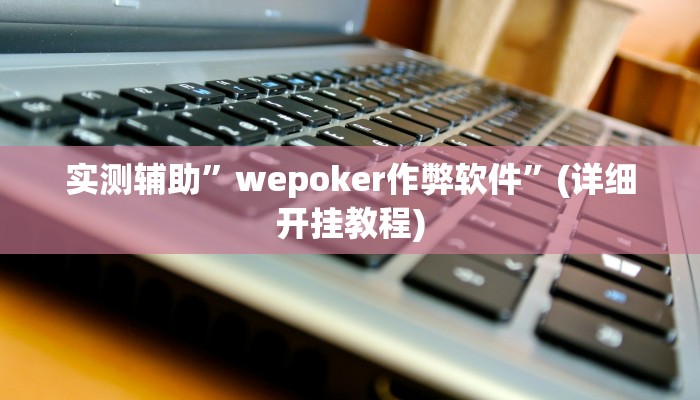 实测辅助”wepoker作弊软件”(详细开挂教程)