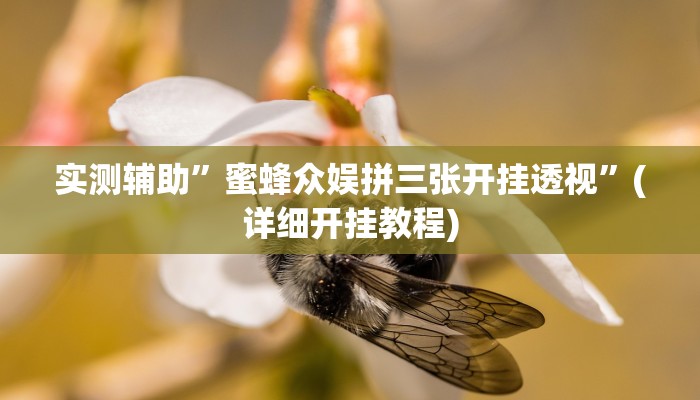 实测辅助”蜜蜂众娱拼三张开挂透视”(详细开挂教程)