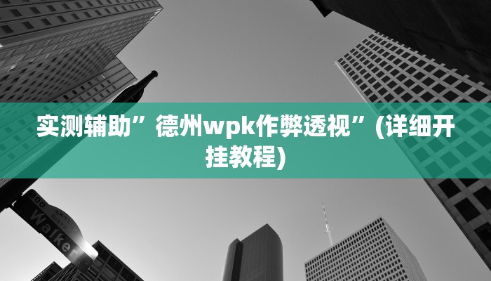 实测辅助”德州wpk作弊透视”(详细开挂教程)