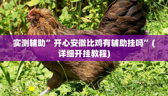 实测辅助”开心安徽比鸡有辅助挂吗”(详细开挂教程)