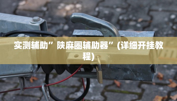 实测辅助”陕麻圈辅助器”(详细开挂教程)