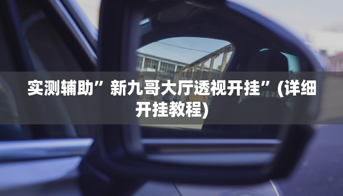 实测辅助”新九哥大厅透视开挂”(详细开挂教程)