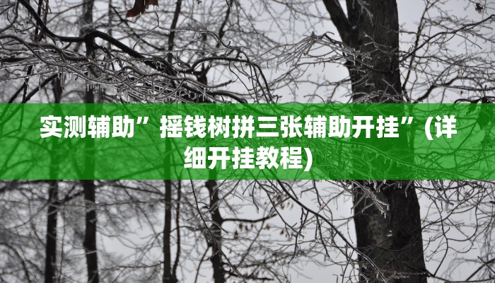 实测辅助”摇钱树拼三张辅助开挂”(详细开挂教程)