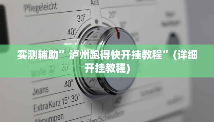 实测辅助”泸州跑得快开挂教程”(详细开挂教程)