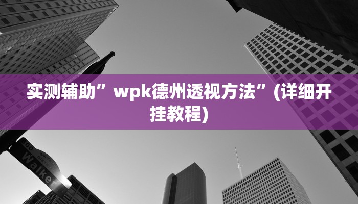 实测辅助”wpk德州透视方法”(详细开挂教程)