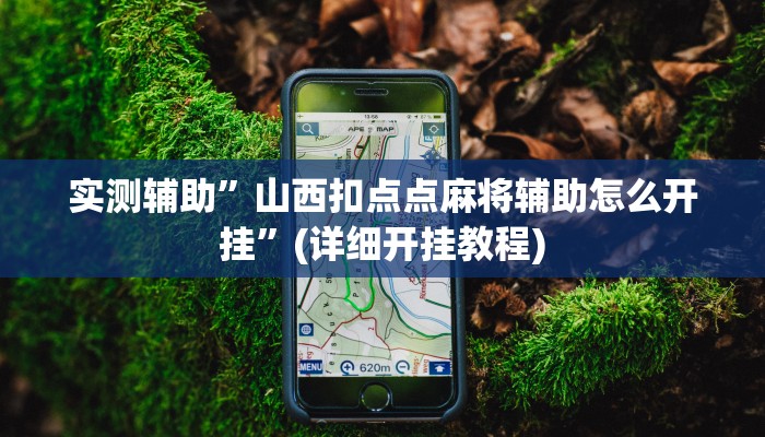 实测辅助”山西扣点点麻将辅助怎么开挂”(详细开挂教程)