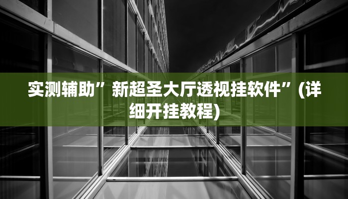 实测辅助”新超圣大厅透视挂软件”(详细开挂教程)