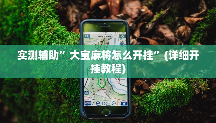 实测辅助”大宝麻将怎么开挂”(详细开挂教程)