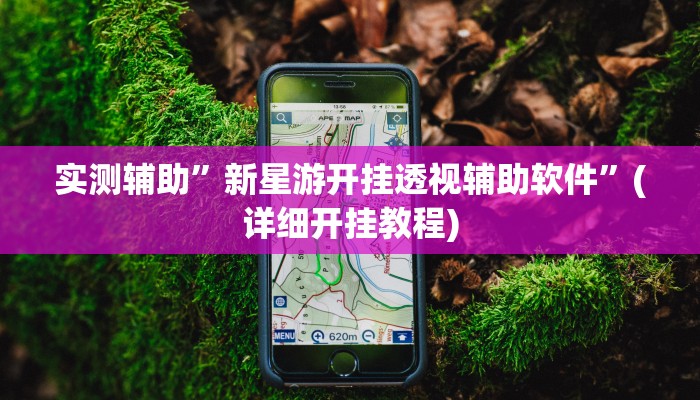 实测辅助”新星游开挂透视辅助软件”(详细开挂教程)