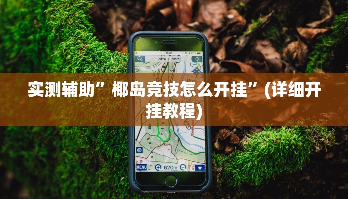 实测辅助”椰岛竞技怎么开挂”(详细开挂教程)