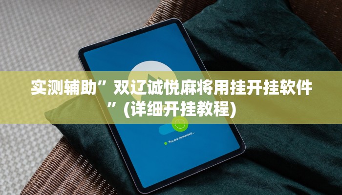 实测辅助”“wepoker德州透视辅助””其实确实有挂