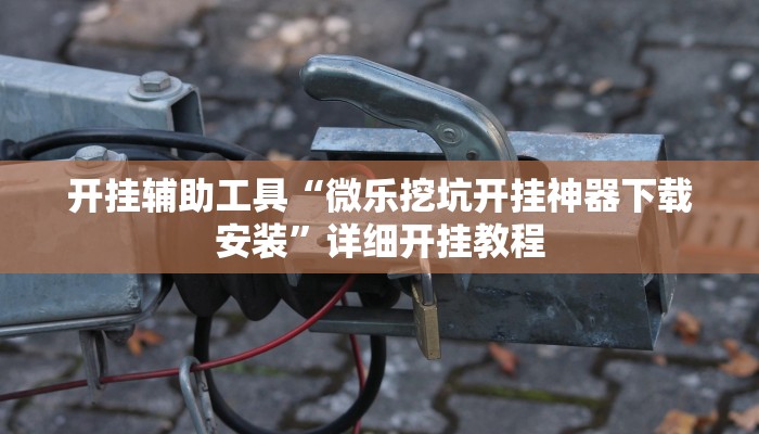 开挂辅助工具“微乐挖坑开挂神器下载安装”详细开挂教程