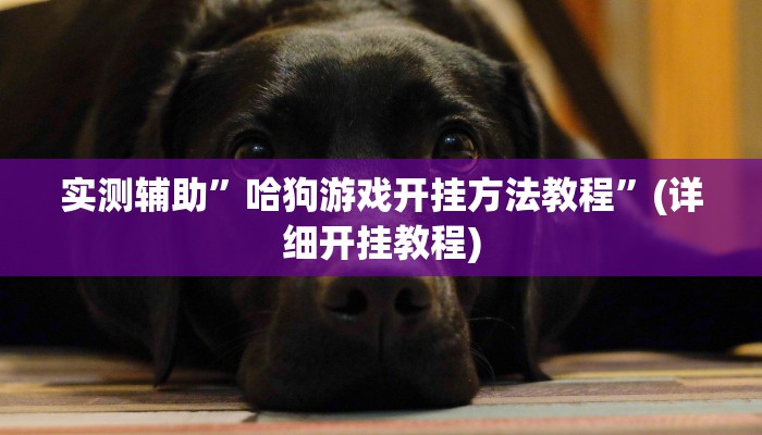 实测辅助”哈狗游戏开挂方法教程”(详细开挂教程)