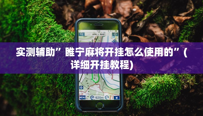 实测辅助”睢宁麻将开挂怎么使用的”(详细开挂教程)