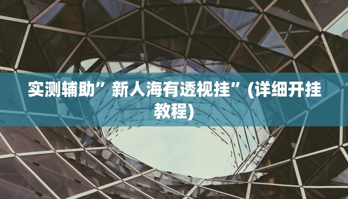 实测辅助”新人海有透视挂”(详细开挂教程)