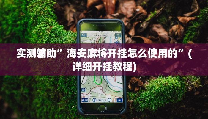 实测辅助”海安麻将开挂怎么使用的”(详细开挂教程)