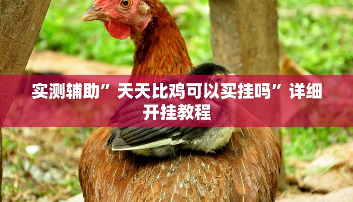 实测辅助”天天比鸡可以买挂吗”详细开挂教程