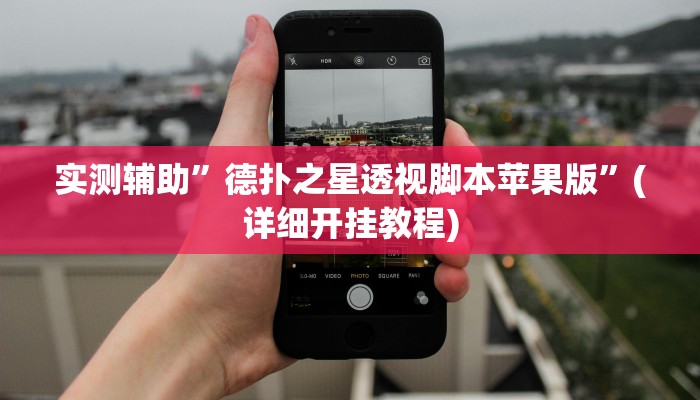 实测辅助”德扑之星透视脚本苹果版”(详细开挂教程)