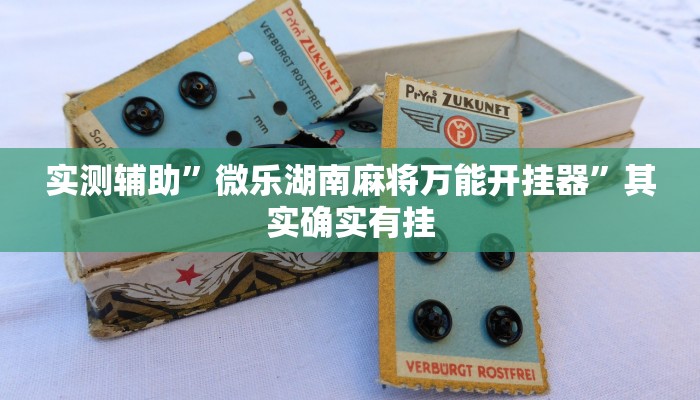 实测辅助”微乐湖南麻将万能开挂器”其实确实有挂