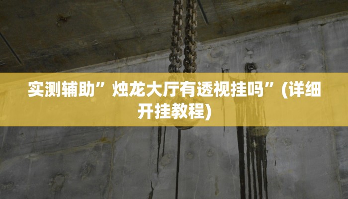 实测辅助”烛龙大厅有透视挂吗”(详细开挂教程)