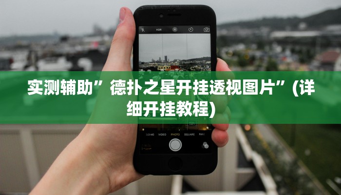 实测辅助”德扑之星开挂透视图片”(详细开挂教程)
