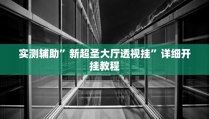 实测辅助”新超圣大厅透视挂”详细开挂教程