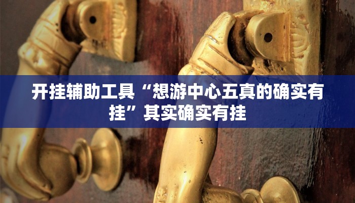 开挂辅助工具“想游中心五真的确实有挂”其实确实有挂