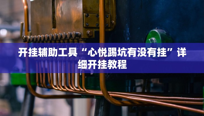 开挂辅助工具“心悦踢坑有没有挂”详细开挂教程