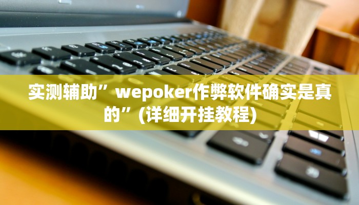 实测辅助”wepoker作弊软件确实是真的”(详细开挂教程)