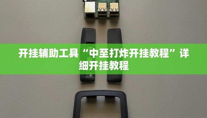 开挂辅助工具“中至打炸开挂教程”详细开挂教程