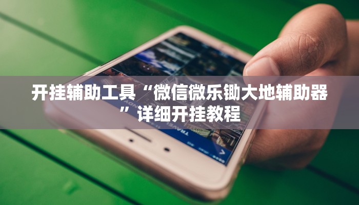 开挂辅助工具“微信微乐锄大地辅助器”详细开挂教程