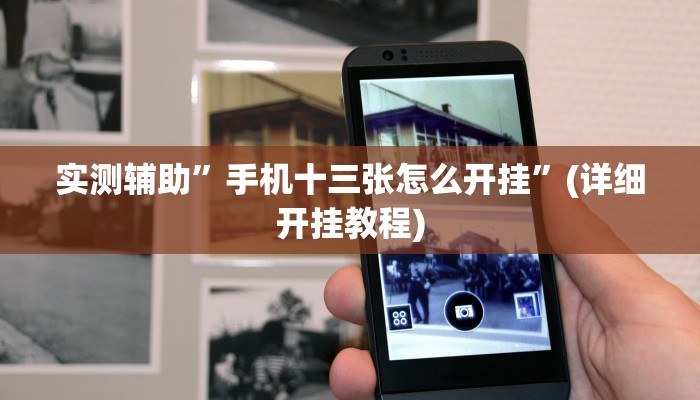 实测辅助”手机十三张怎么开挂”(详细开挂教程)