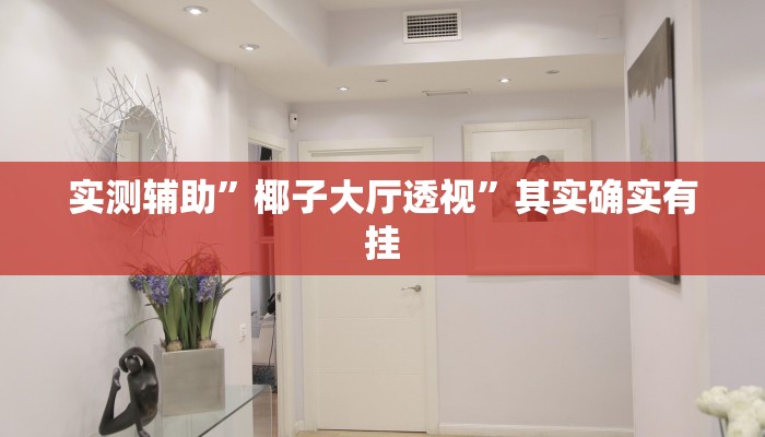 实测辅助”椰子大厅透视”其实确实有挂