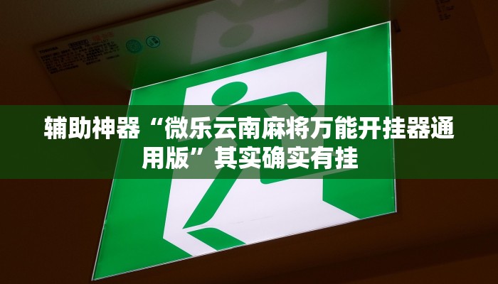 实测辅助”微乐小程序开挂透视辅助软件”其实确实有挂