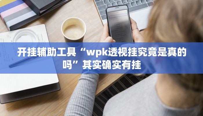 开挂辅助工具“wpk透视挂究竟是真的吗”其实确实有挂