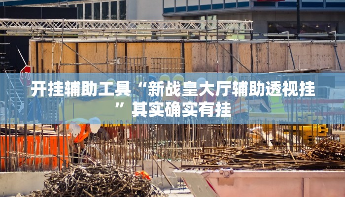 开挂辅助工具“新战皇大厅辅助透视挂”其实确实有挂
