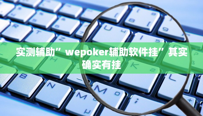实测辅助”wepoker辅助软件挂”其实确实有挂