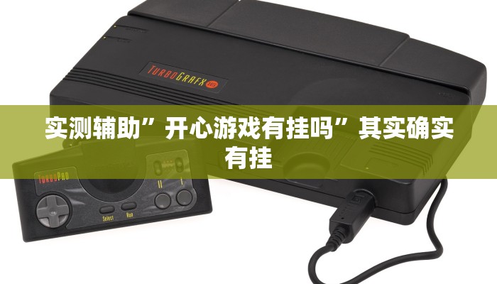 实测辅助”开心游戏有挂吗”其实确实有挂