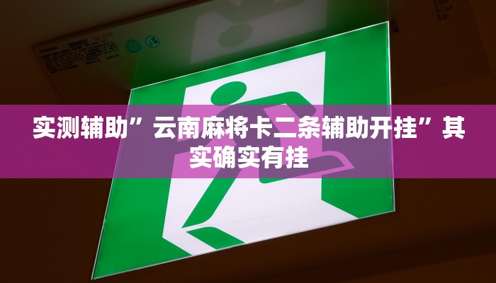 实测辅助”云南麻将卡二条辅助开挂”其实确实有挂