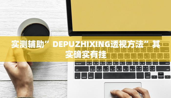 实测辅助”DEPUZHIXING透视方法”其实确实有挂