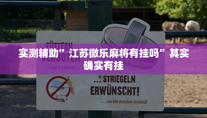 实测辅助”江苏微乐麻将有挂吗”其实确实有挂