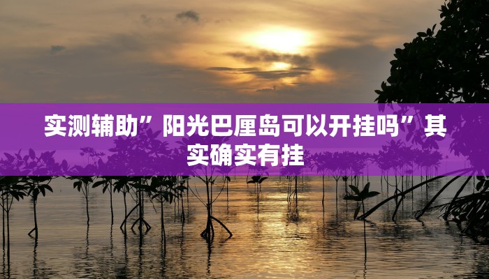 实测辅助”阳光巴厘岛可以开挂吗”其实确实有挂