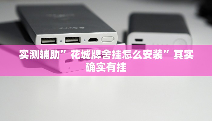实测辅助”花城牌舍挂怎么安装”其实确实有挂