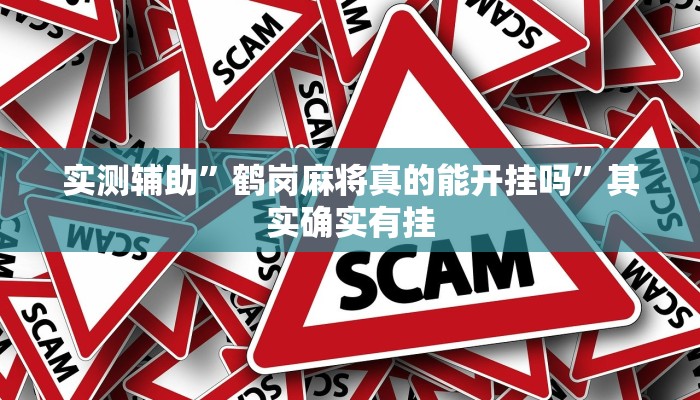 实测辅助”鹤岗麻将真的能开挂吗”其实确实有挂