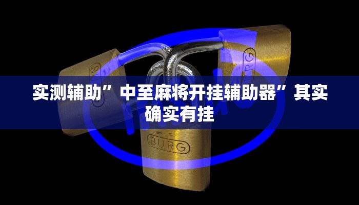 实测辅助”中至麻将开挂辅助器”其实确实有挂